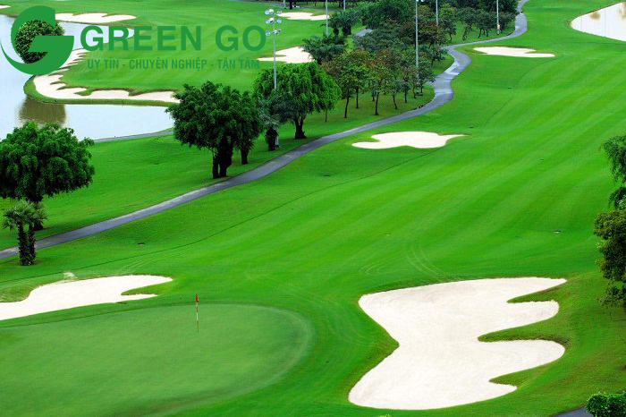 Cỏ nhân tạo sân golf giá rẻ có nên đầu tư không?