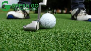 Cỏ sân Golf – Nên lựa chọn loại nào phù hợp nhất?