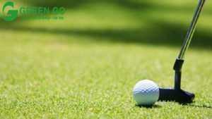 Top 3 điểm bán cỏ nhân tạo sân golf uy tín tại Hà nội