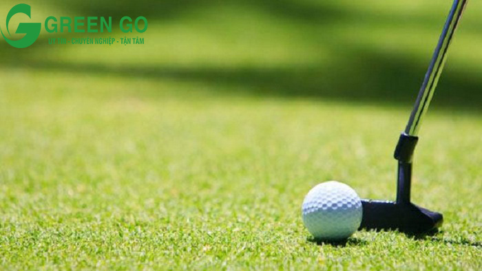 Top 3 điểm bán cỏ nhân tạo sân golf uy tín tại Hà nội